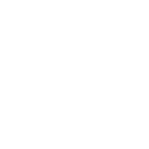 Car Accidents Icon