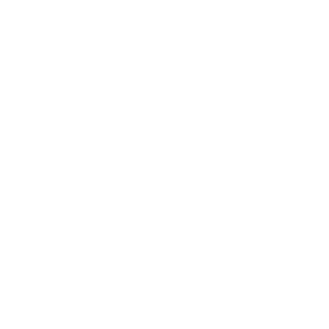 Nursing Home Abuse Icon