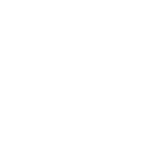 Catastrophic Injury Lawyers Icon