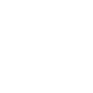 Wrongful Death Attorneys Icon