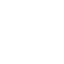 Negligent Security Icon